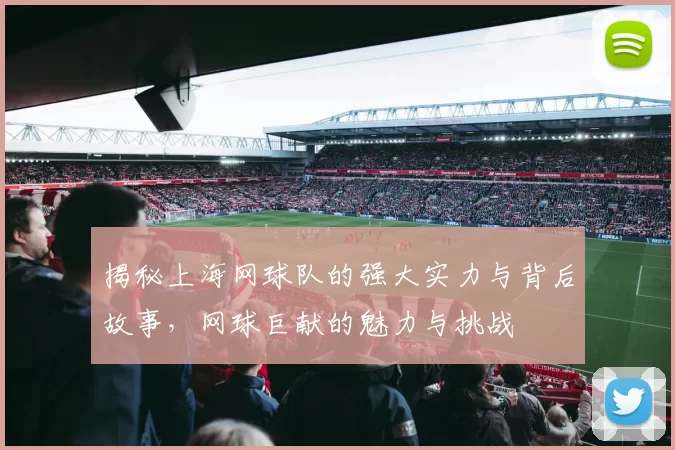 揭秘上海网球队的强大实力与背后故事，网球巨献的魅力与挑战